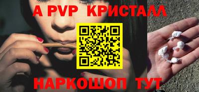 стаф Камышлов