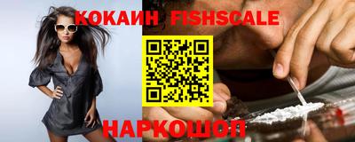 стаф Камышлов